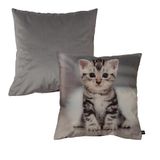 Chic Home Velvet kussensloop KITTY CHIC 45 x 45 cm
