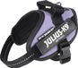 Julius-K9 IDC®Powertuig, XS - Mini-Mini, violet