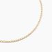 Collier Capucin Or Jaune Maille Marine Plate