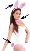 Partywinkel Playboy Bunny Set Roze