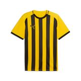 teamLIGA26 Puma teamLIGA26 Gestreepte Jersey