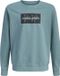 JACK&JONES Cole Print Sweater Junior Bleu Taille 164