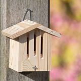 C J Wildlife Kids Bouwpakket Vlinderhuis Dana