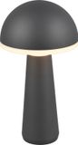 RL LIVE YOUR LIGHT REALITY FUNGO Tafellamp Antraciet