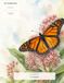 Butterflies in Bloom: A Guided Watercolor Coloring Book