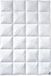 Billerbeck Winterdekbed Ganzendons 200x135cm
