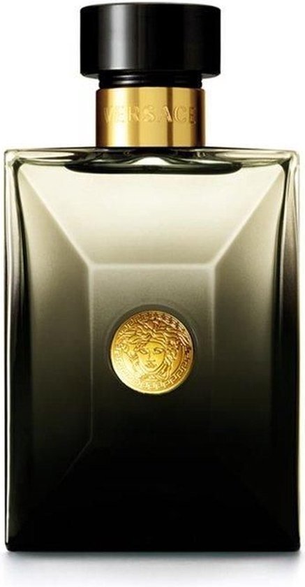 Versace Pour Homme eau de parfum / 100 ml / heren