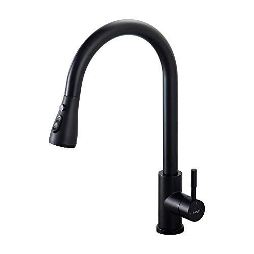 Ibergrif M22136B Kitchen Faucet with Removable Remote, Sink Mixer, Water Saving, Black