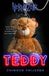 Teddy Horrorzone - Teddy