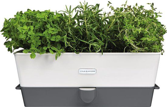 Cole & Mason 3-voudige kruidenpot, zelfbewaterend, wit