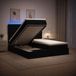 Maison Exclusive Lit Ottoman exclusif, avec matelas et éclairage LED noir, dimensions 200 x 200 cm, revêtement en tissu