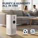 Rouny PureBreeze Purificateur d'air 2-en-1 avec humidificateur