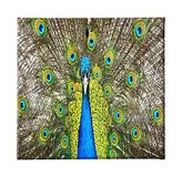 Homemania Afbeelding Peacock dieren, voor woonkamer, slaapkamer, meerkleurig van polyester, hout, 60 x 3 x 60 cm