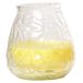 Citronella bougie basse - 10 cm - 40 heures de combustion - parfum d'agrumes