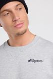 America Today Sweat Sonny Crew Lange Mouw Ronde Hals Katoen Heren L Mid Grey Melange