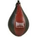 Metal Boxe poire de vitesse