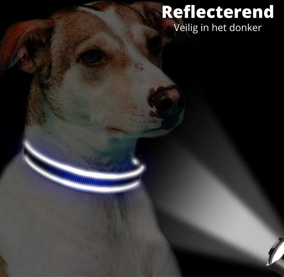 Sharon B Halsband hond - reflecterend - donkerblauw - maat XL