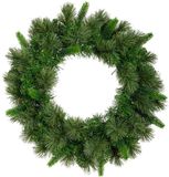 Everlands Edmonton spruce d50h13cm vert