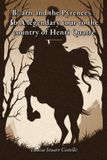 Béarn and the Pyrenees: A legendary tour to the country of Henri Quatre