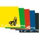 Blackbird Racing Motorfiets stickers
