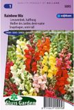 Sluis Garden Leeuwenbek Rainbow mix, halfhoog
