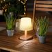 esotec Lampe solaire HARMONY aspect bois Module solaire AKKU outdoor IP44 102912