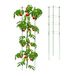 Merkloos / Sans marque Relaxdays plantensteun, set van 2, 120 cm, groen