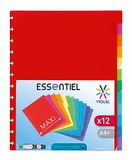 Viquel - Set van 12 Maxi A4 register met speciale perforatie voor GEODE zichthouders met uitneembare vakken