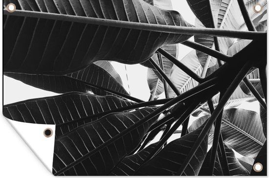 GreatGardenPosters Tuinposter - Palm Bladeren Jungle - 180x120 cm - PVC - Tuindecoratie - Buitenposter