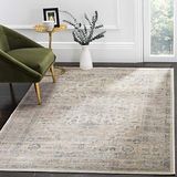 Safavieh Traditioneel Geweven Binnen Vloerkleed, Vintage Collectie, VTG123, Steen & Blauw, 99 X 170 cm