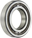 SKF NJ 211 ECP kogellagers, cilindervormig, 55 ID, staal