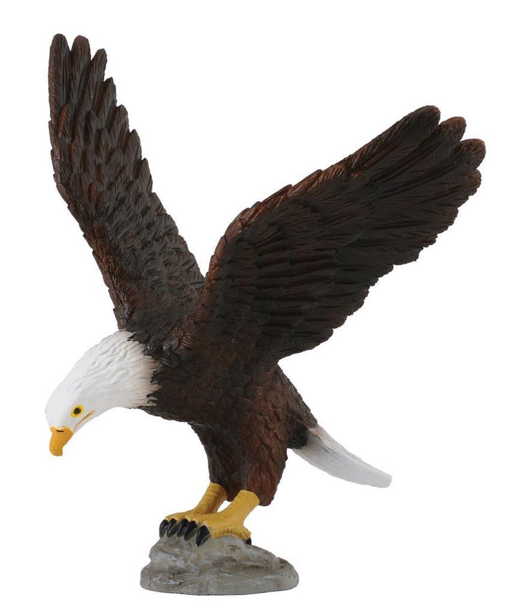 Collecta Wilde dieren (M): AMERIKAANSE WITKOPZEEAREND 7.5x10x10cm