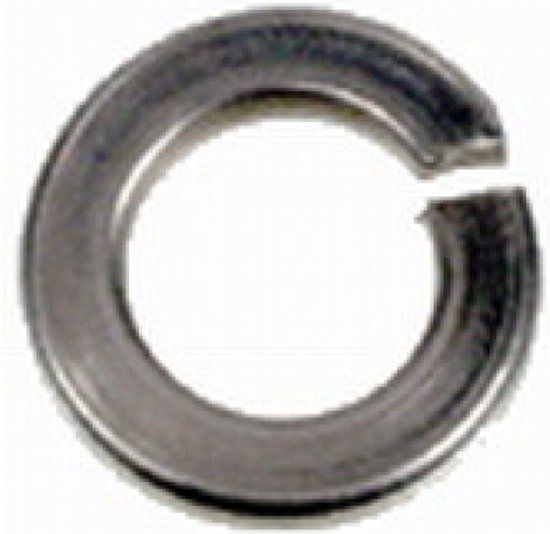 Intergard Veerring M6 RVS DIN 127-B