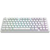 Dark Project DPKB_NOVA_81_ISO_WHITE Toetsenbord Gamen USB + RF Wireless + Bluetooth QWERTZ Wit