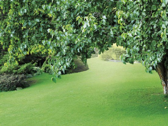 Warentuin mix - Tuinplanten grond aarde 40 liter