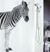 Spirella Douchegordijn, schimmelwerend, antibacterieel, wasbaar, waterdicht, polyester, zebrapatroon, 180 x 200 cm, wit