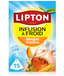 LIPTON Infusion à froid mangue rooibos 15 sachets