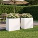 VidaXL Plantenbak 2 st wit 50 x 30 x 50 cm koudgewalst staal