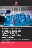 Compreensão OmniScriptum SRL Compreensão das reações químicas envolvidas na descoloração dos pigmentos: O estudo do escurecimento causado pelo sulfeto de mercúrio (HgS) Paperback