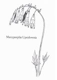 Musea Manypeeplia Upsidownia Musea en galeries Marketing. Classics 17.8cm x 12.7cm Ontworpen Wenskaart