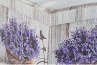 DKD Home Decor Opvouwbare Kist 71,5 x 35 x 36 cm Grijs Fiets Roze Lila Polyurethaan (2 Stuks)