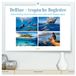 Delfine Calvendo Delfine - tropische Begleiter Wandkalender 2027 DIN A2 quer