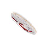 Blendend Maori Ip20 LED-strip, 24 V, DC, 256 LED/m, 5 m, blauw
