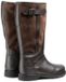 Aigle Inverss Gtx Laarzen Bruin EU 46 Man
