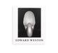 Edward Aperture Edward Weston: The Flame of Recognition