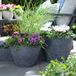 Ter Steege Plantenpot/bloempot Luxery Spike - keramiek - zwart - Bolletjes motief - D15 x H13 cm
