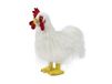 Living Nature Knuffeldier - grote haan (35cm)
