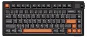 Akko MOD 007 V5 HE Magnetische Gaming-toetsenbord, 75%, USB-C, 8K, AstroAim Switch, TFT RGB, zwart