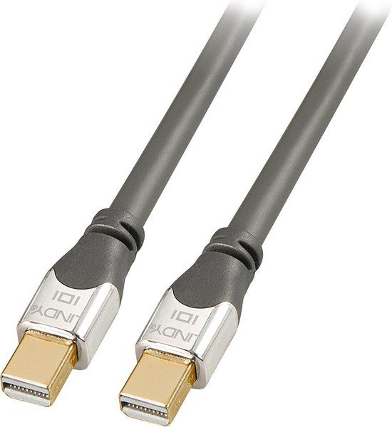 LINDY 36310 DisplayPort-kabel Mini-displayport / DisplayPort Adapterkabel Mini DisplayPort-stekker, DisplayPort-stekker