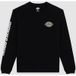 Dickies NASHPORT LS TEE Zwart Heren Lange Mouwen Shirt